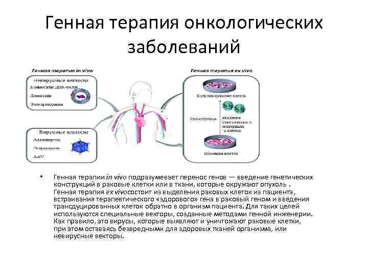 Генная терапия онкологических заболеваний • Генная терапии іn vivo подразумевает перенос генов — введение
