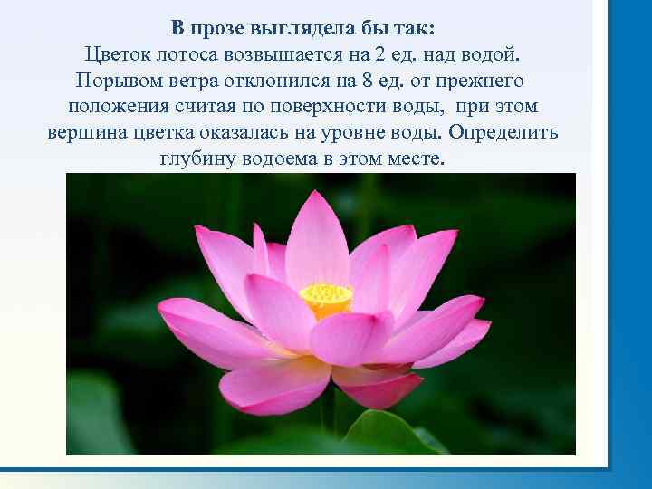 В прозе выглядела бы так: Цветок лотоса возвышается на 2 ед. над водой. Порывом