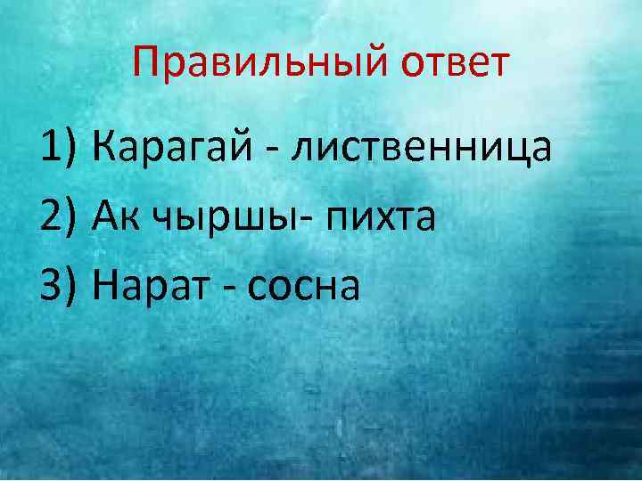 Правильный ответ 1) Карагай - лиственница 2) Ак чыршы- пихта 3) Нарат - сосна