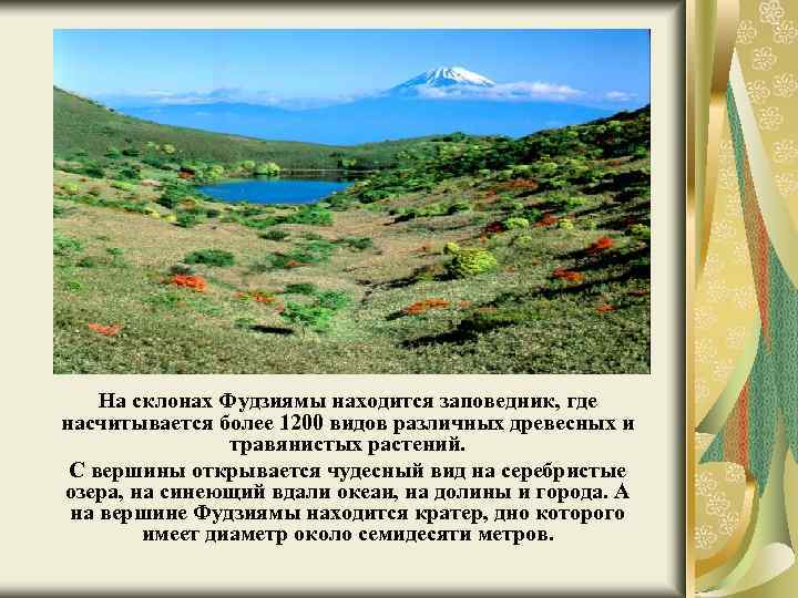 На склонах Фудзиямы находится заповедник, где насчитывается более 1200 видов различных древесных и травянистых