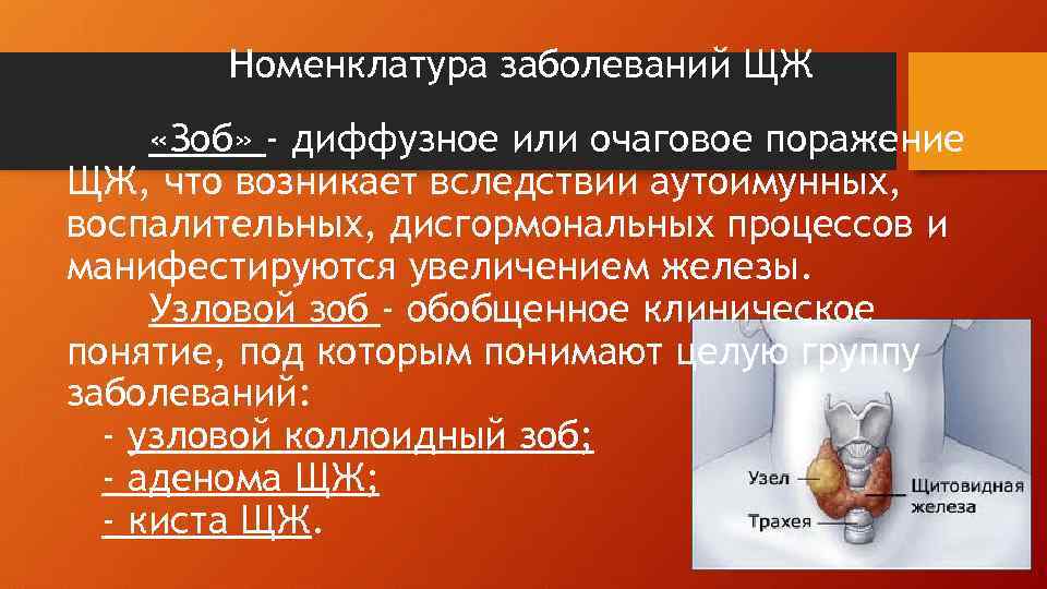 Номенклатура заболеваний ЩЖ «Зоб» - диффузное или очаговое поражение ЩЖ, что возникает вследствии аутоимунных,