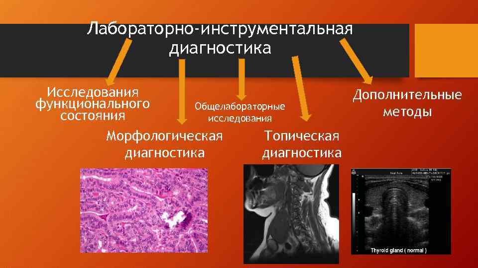 Лабораторно-инструментальная диагностика Исследования Дополнительные функционального Общелабораторные методы состояния исследования Морфологическая Топическая диагностика 