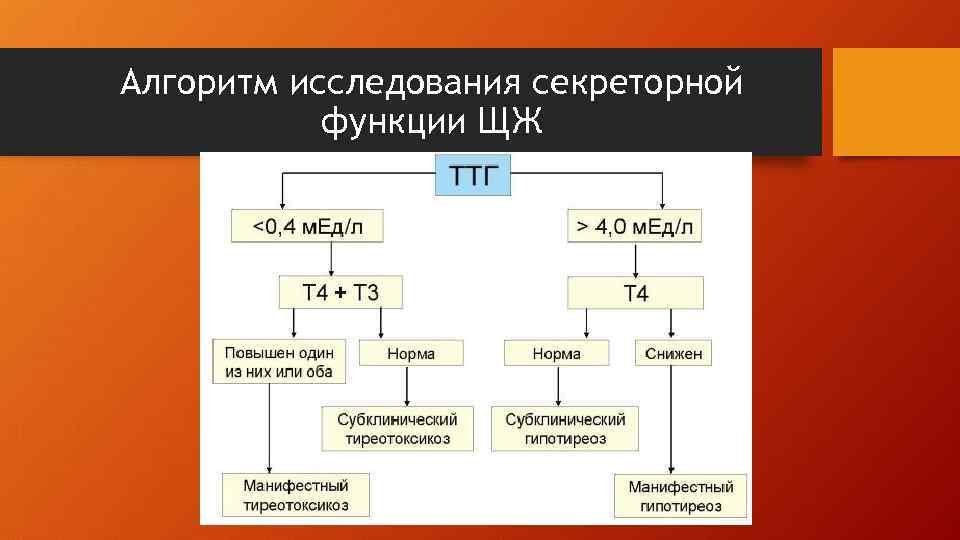 Алгоритм исследования секреторной функции ЩЖ 