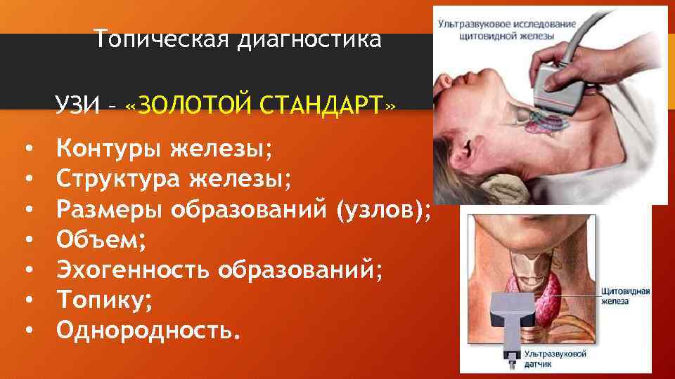 Топическая диагностика УЗИ – «ЗОЛОТОЙ СТАНДАРТ» • • Контуры железы; Структура железы; Размеры образований