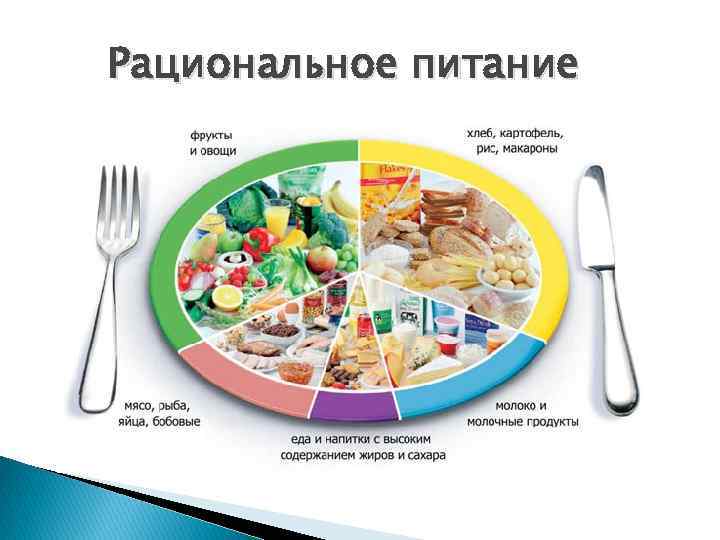 Рациональное питание 