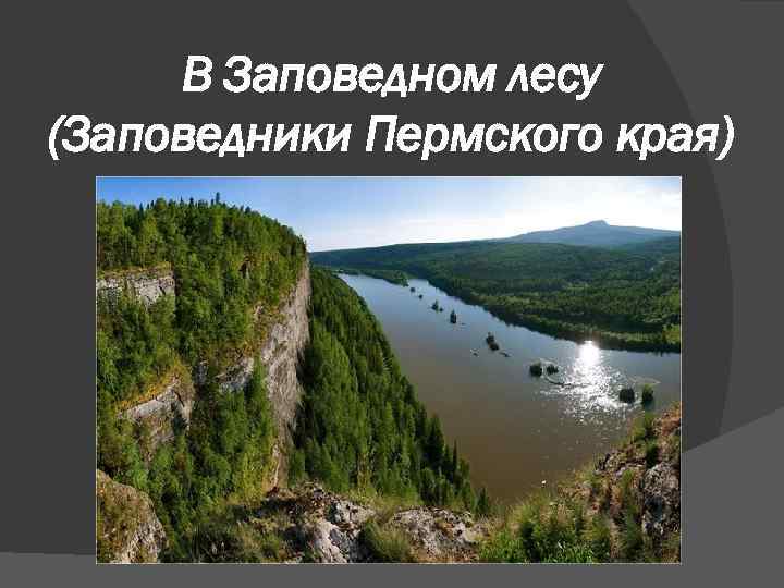 В Заповедном лесу (Заповедники Пермского края) 