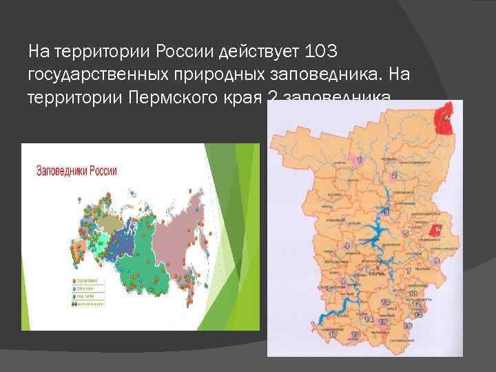 На территории России действует 103 государственных природных заповедника. На территории Пермского края 2 заповедника.