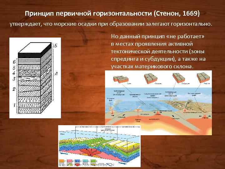 Принцип первичной горизонтальности (Стенон, 1669) утверждает, что морские осадки при образовании залегают горизонтально. Но