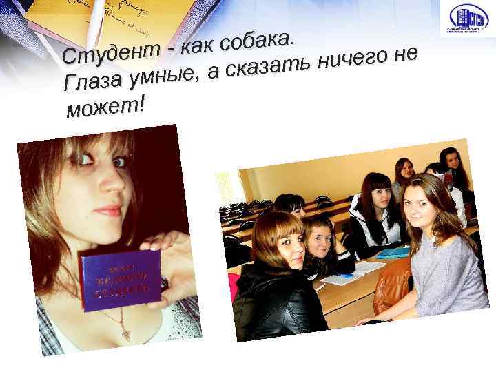 к собака. удент - ка Ст ничего не , а сказать лаза умные Г