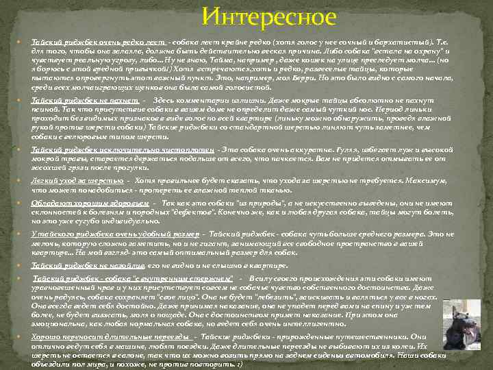 Интересное Тайский риджбек очень редко лает - собака лает крайне редко (хотя голос у