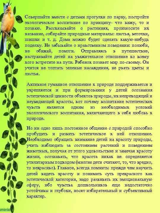 Совершайте вместе с детьми прогулки по парку, постройте экологическое воспитание по принципу что вижу,