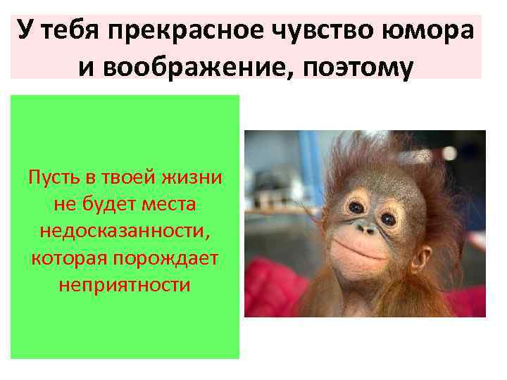 У тебя прекрасное чувство юмора и воображение, поэтому Пусть в твоей жизни не будет