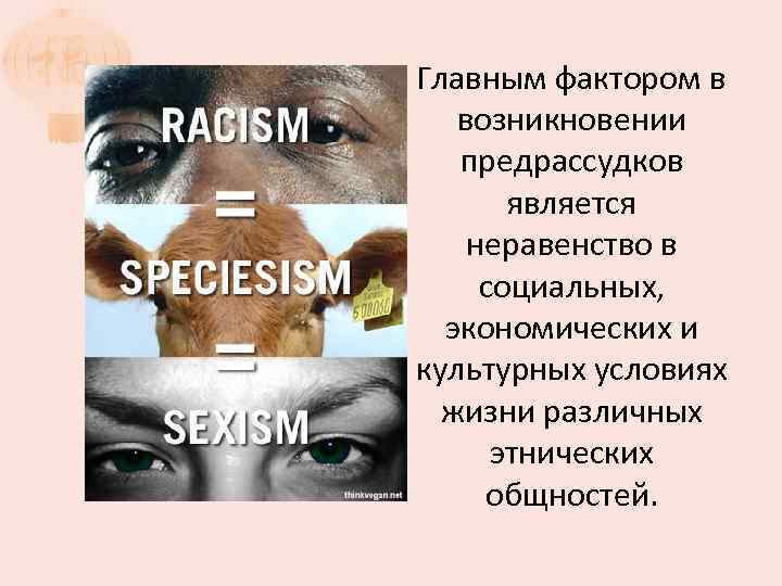  Главным фактором в возникновении предрассудков является неравенство в социальных, экономических и культурных условиях