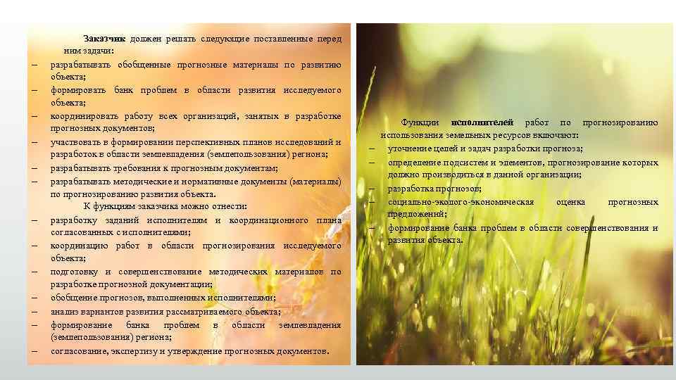 – – – – Заказчик должен решать следующие поставленные перед ним задачи: разрабатывать обобщенные