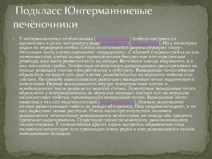  Подкласс Юнгерманниевые печёночники У юнгерманниевых печёночников (Jungermanniales) стебель построен из одинаковых клеток, например