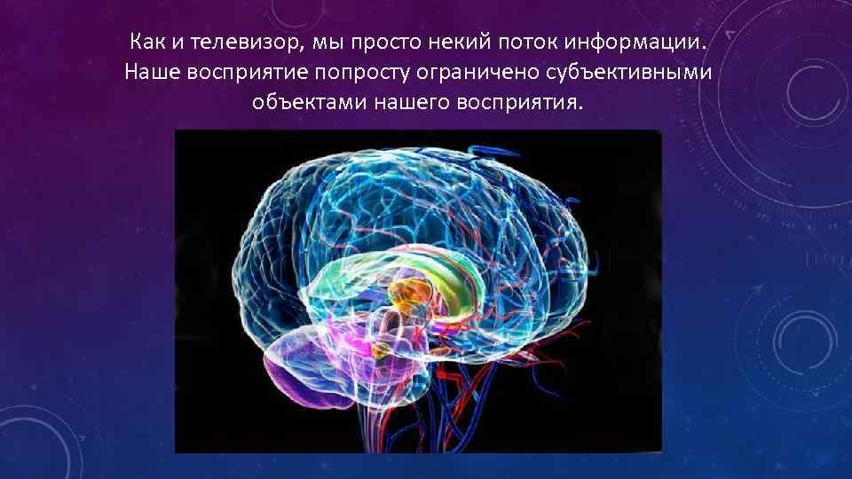 Как и телевизор, мы просто некий поток информации. Наше восприятие попросту ограничено субъективными объектами