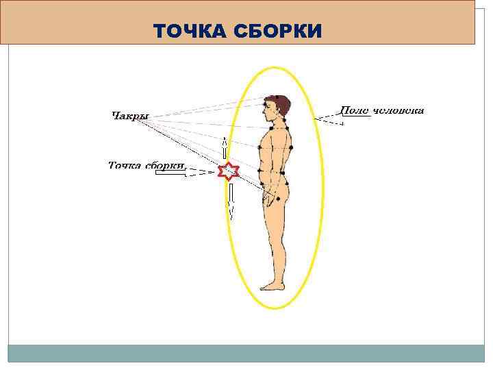 ТОЧКА СБОРКИ 