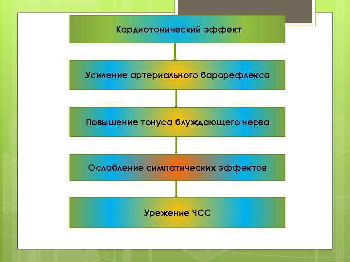 Кардиотонический эффект Усиление артериального барорефлекса Повышение тонуса блуждающего нерва Ослабление симпатических эффектов Урежение ЧСС