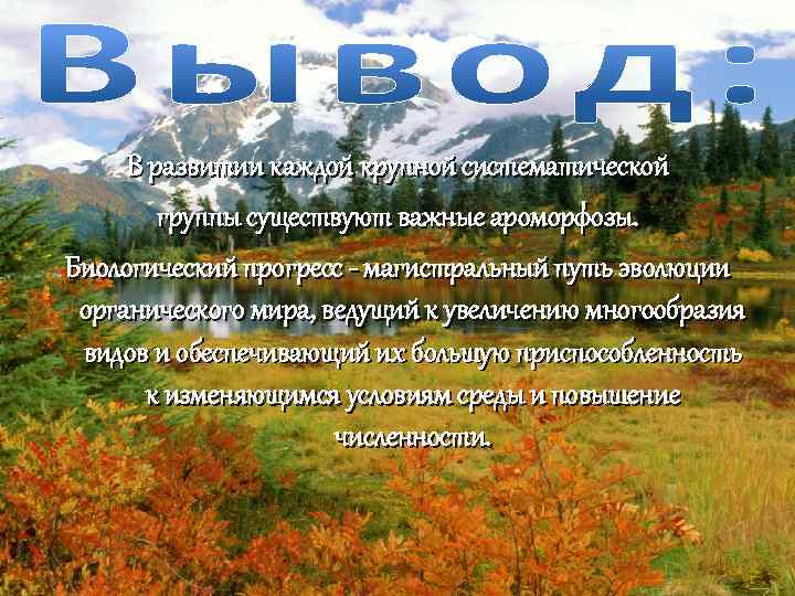 В развитии каждой крупной систематической группы существуют важные ароморфозы. Биологический прогресс - магистральный путь