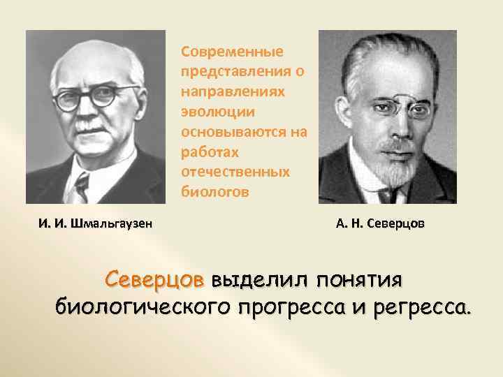 Современные представления о направлениях эволюции основываются на работах отечественных биологов И. И. Шмальгаузен А.