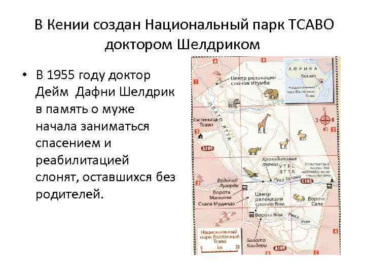 В Кении создан Национальный парк ТСАВО доктором Шелдриком • В 1955 году доктор Дейм