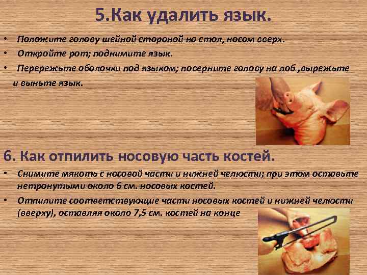 5. Как удалить язык. • Положите голову шейной стороной на стол, носом вверх. •