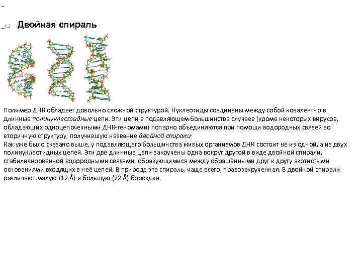  Двойная спираль В зависимости от концентрации ионов и нуклеотидного состава молекулы, двойн Полимер