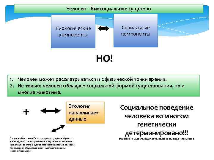 Человек является биосоциальным существом