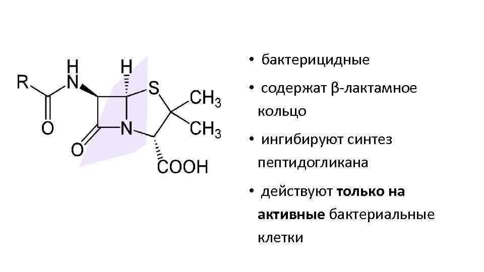  • бактерицидные • содержат β-лактамное кольцо • ингибируют синтез пептидогликана • действуют только