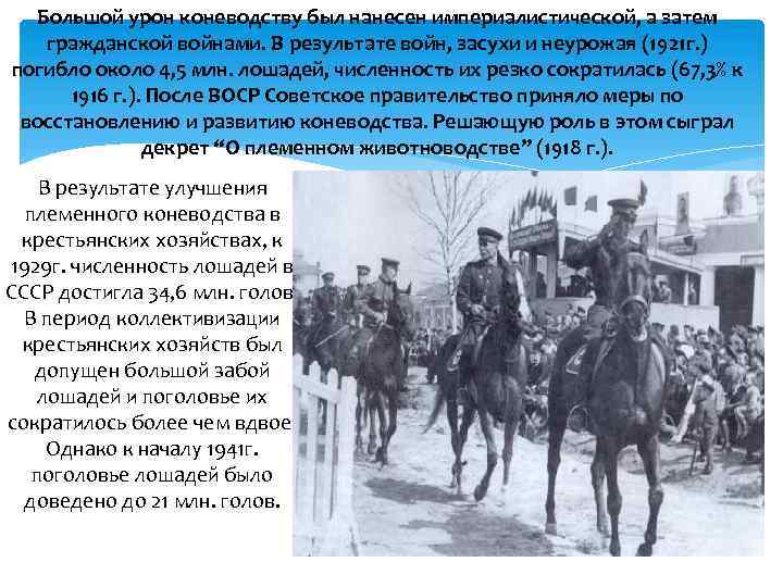 Большой урон коневодству был нанесен империалистической, а затем гражданской войнами. В результате войн, засухи