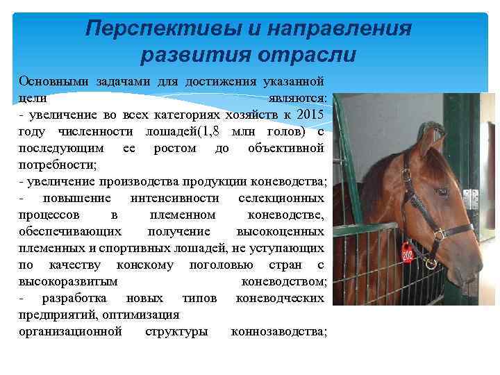 Перспективы и направления развития отрасли Основными задачами для достижения указанной цели являются: увеличение во