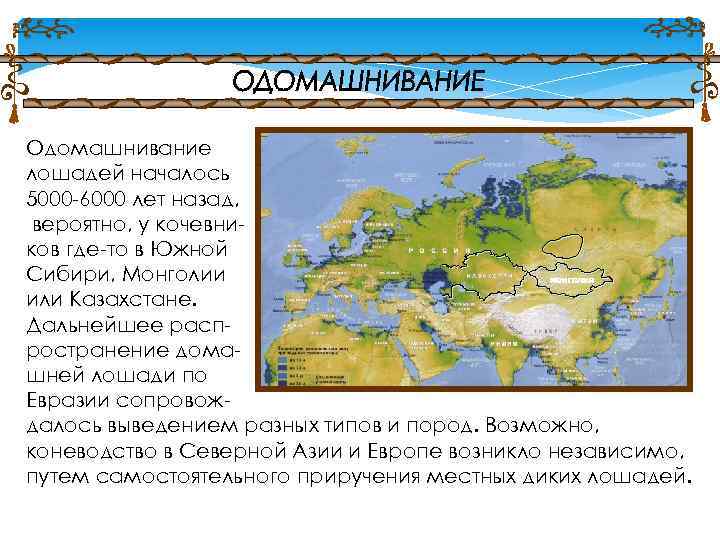 Одомашнивание лошадей началось 5000 -6000 лет назад, вероятно, у кочевников где-то в Южной Сибири,