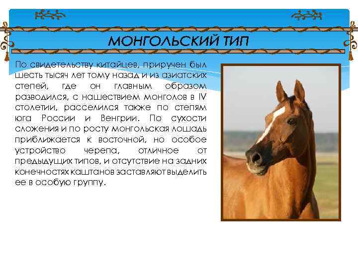 По свидетельству китайцев, приручен был шесть тысяч лет тому назад и из азиатских степей,