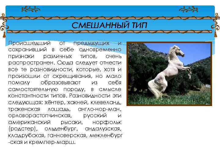 Происшедший от предыдущих и сохранивший в себе одновременно признаки различных типов, очень распространен. Сюда