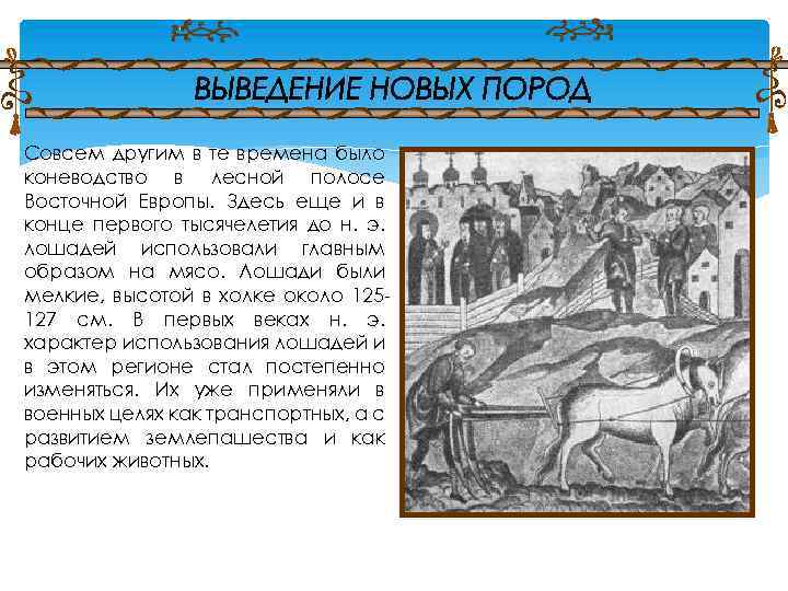 Совсем другим в те времена было коневодство в лесной полосе Восточной Европы. Здесь еще