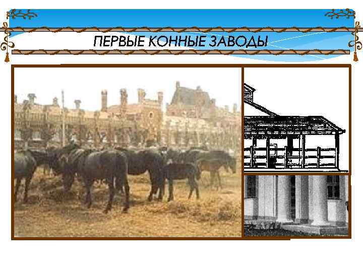 Выведением различных пород лошадей занимаются в специальных заведениях - так называемых конных заводах. К