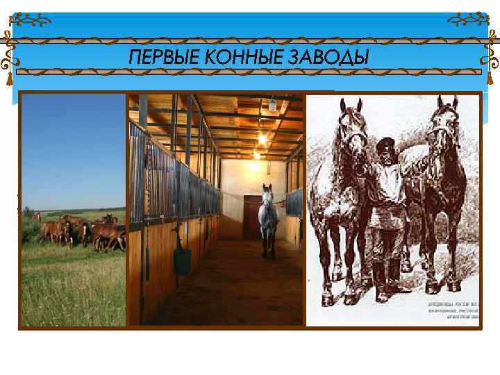 Так возникали конные заводы с конюшнями, манежами, с огороженными участками для выпаса и водопоя,