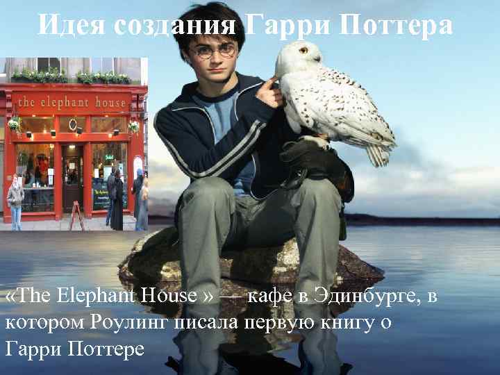 Идея создания Гарри Поттера «The Elephant House » — кафе в Эдинбурге, в котором