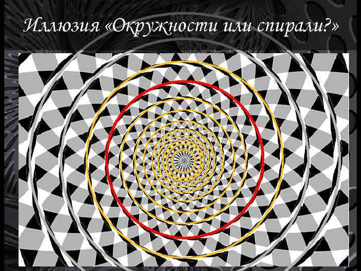 Иллюзия «Окружности или спирали? » 