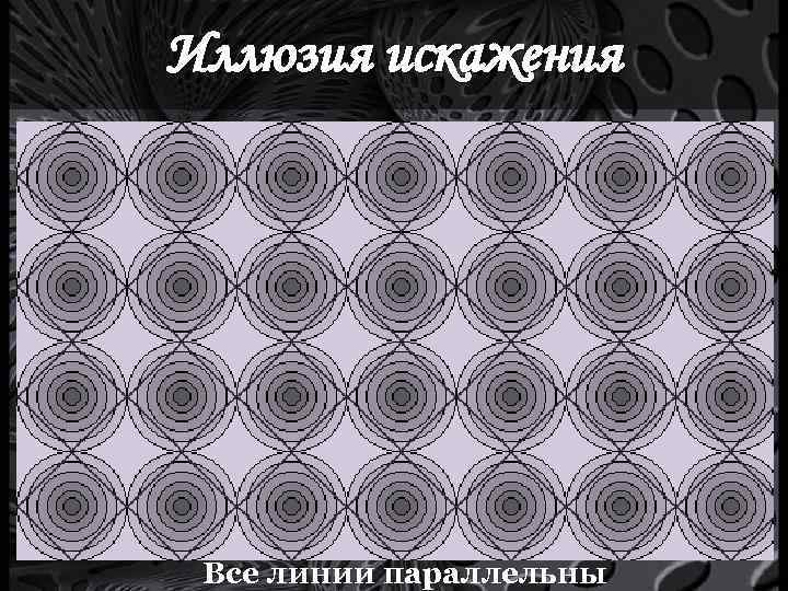 Иллюзия искажения Все линии параллельны 