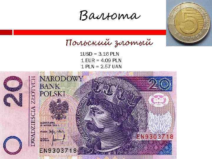 Валюта Польский злотый 1 USD = 3. 16 PLN 1 EUR = 4. 09