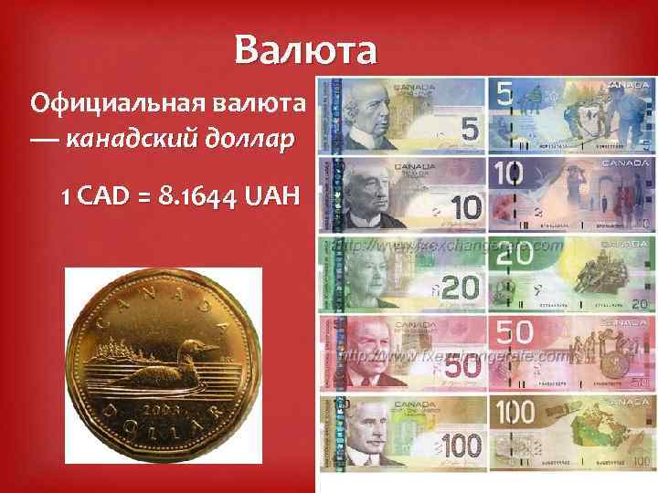 Валюта Официальная валюта — канадский доллар 1 CAD = 8. 1644 UAH 