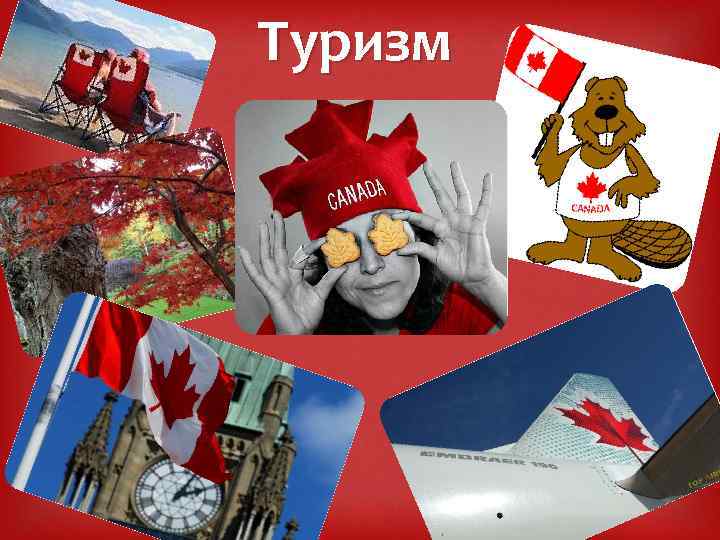 Туризм 