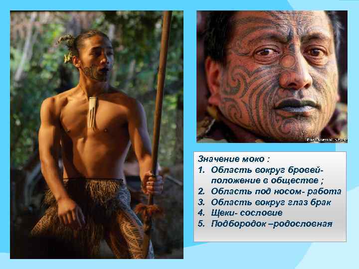 Значение моко : 1. Область вокруг бровейположение в обществе ; 2. Область под носом-