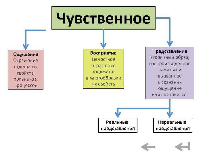 Чувственное Ощущение Отражение отдельных свойств, признаков, процессов Восприятие Целостное отражение предметов в многообразии их