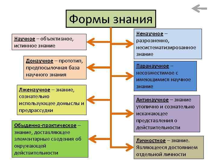 Формы знания Научное – объективное, истинное знание Донаучное – прототип, предпосылочная база научного знания