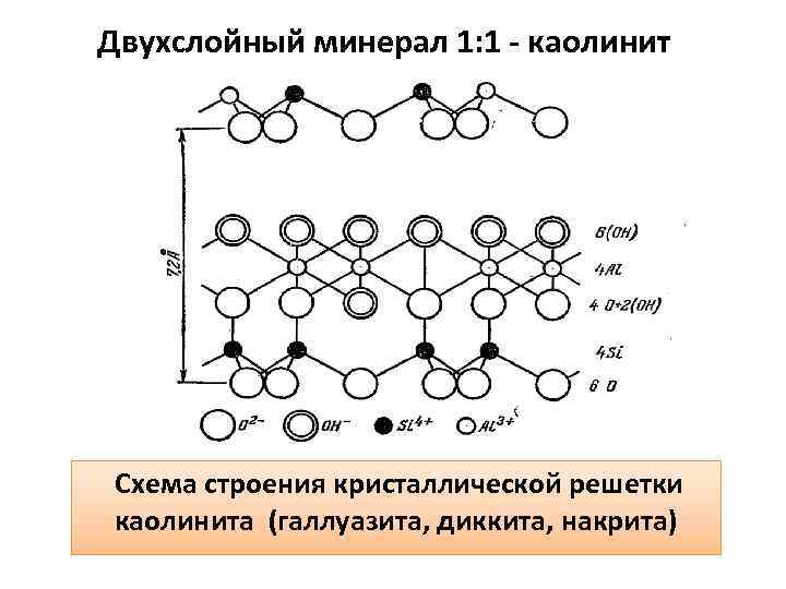 Двухслойный минерал 1: 1 - каолинит Схема строения кристаллической решетки каолинита (галлуазита, диккита, накрита)