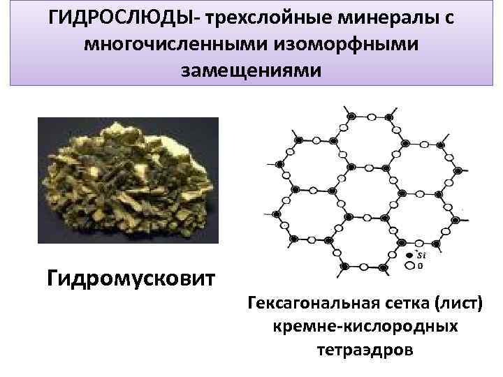 ГИДРОСЛЮДЫ- трехслойные минералы с многочисленными изоморфными замещениями Гидромусковит Гексагональная сетка (лист) кремне-кислородных тетраэдров 