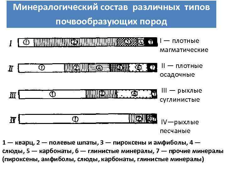 Минералогический состав различных типов почвообразующих пород I — плотные магматические II — плотные осадочные