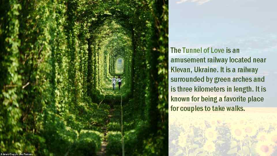 The Tunnel of Love is an amusement railway located near Klevan, Ukraine. It is
